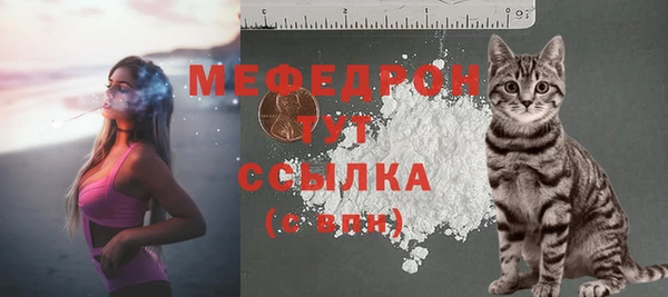 mdpv Богородск