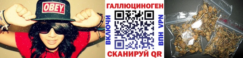Галлюциногенные грибы Cubensis  ссылка на мегу ССЫЛКА  Пучеж  закладка 
